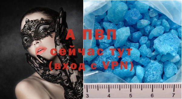 прущие крисы Белокуриха