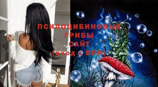 прущие крисы Белокуриха