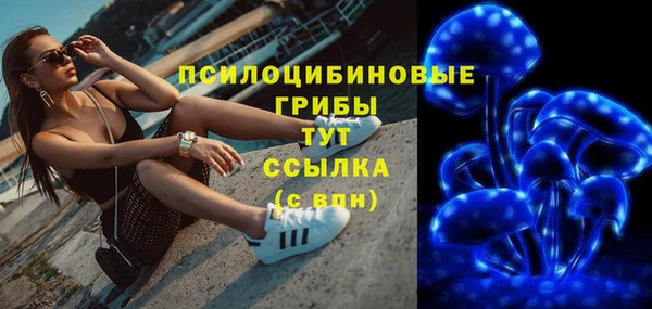 прущие крисы Белокуриха