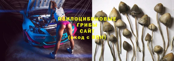 прущие крисы Белокуриха