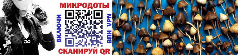 Псилоцибиновые грибы прущие грибы  Купить  Анива 